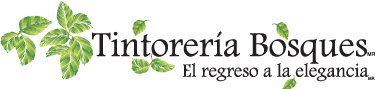 Tintorería Bosques
